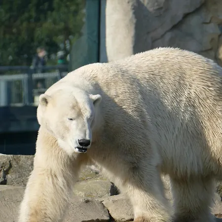 Juna Am Nordseedeich بيت للعطل *