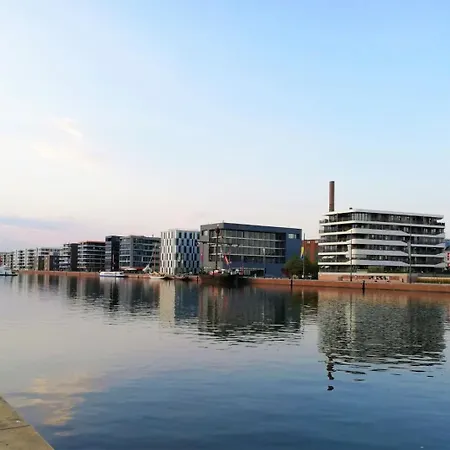 Juna Am Nordseedeich