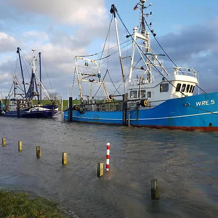Juna Am Nordseedeich *