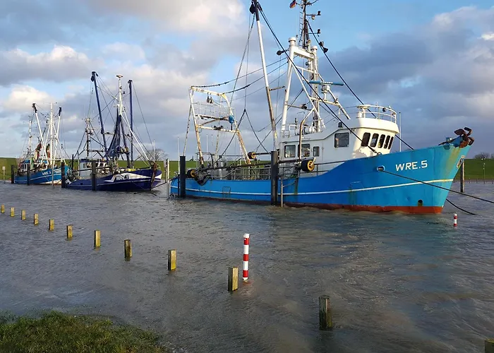 Juna Am Nordseedeich *
