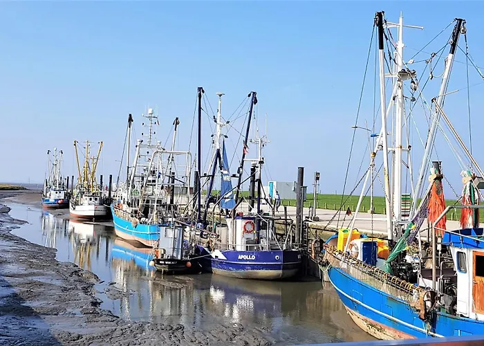 Juna Am Nordseedeich 度假居 Wurster Nordseekuste
